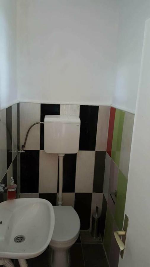 Hostel Belgrade Shungit Dragana Jeftica Br 10 외부 사진