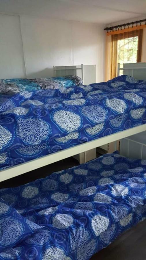 Hostel Belgrade Shungit Dragana Jeftica Br 10 외부 사진