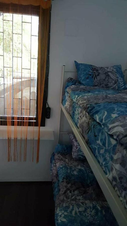 Hostel Belgrade Shungit Dragana Jeftica Br 10 외부 사진